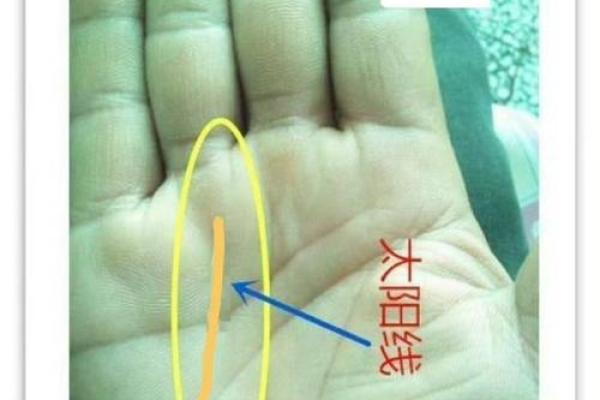 《手相学习百科》：指尖与指节