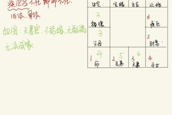 紫微斗数诸星落命宫之：生年岁前十二神详解