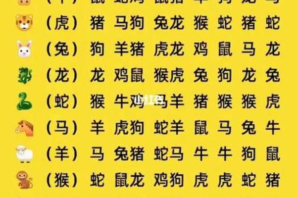 属狗和什么属相最配对 属狗和什么属相相冲