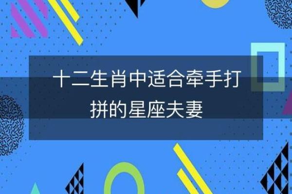 十二生肖的配对 哪些星座的配对最好