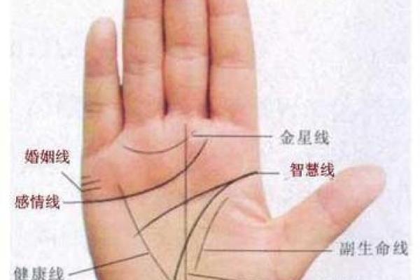 看男人手相算命图解 中指长的会富贵