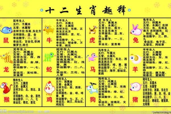 属虎方位吉凶表格图解