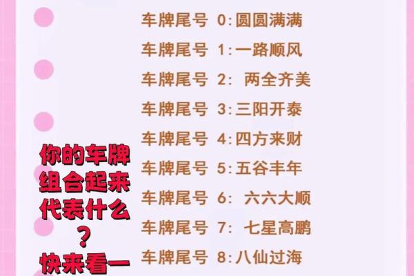 车牌吉凶测试,12生肖怎么选车牌