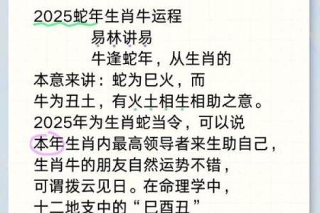免费算命十二生肖运势属牛的