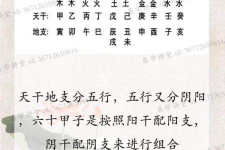 八字硬什么意思
