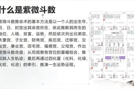 紫微斗数术语解释之：强宫、弱宫