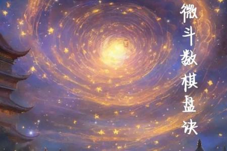最准紫薇斗数app