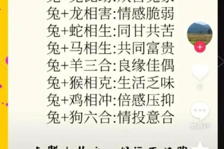 1999年属兔最佳结婚年龄