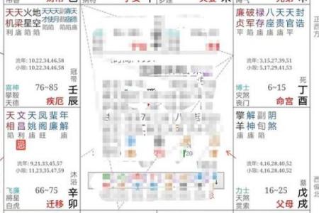 紫微斗数命盘大运流年解析0623