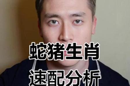 生肖蛇和生肖猪能够配对吗