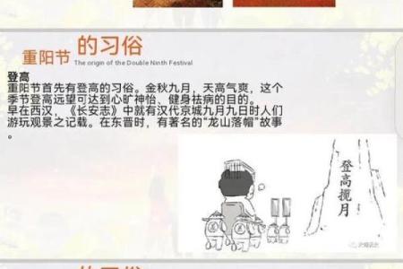 重阳节是什么节日是干什么的 重阳节是什么节日大家如何过