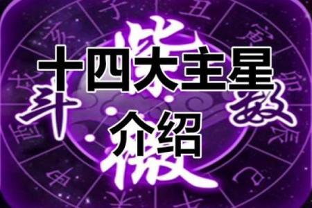 帅哥紫薇斗数