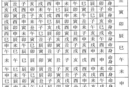 神巴巴紫薇斗数排盘