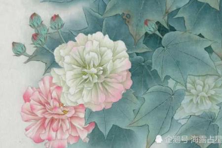 月老灵签生肖排行榜最新