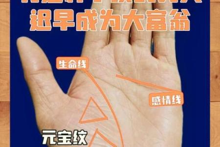 《手相学习百科》：手纹看退休