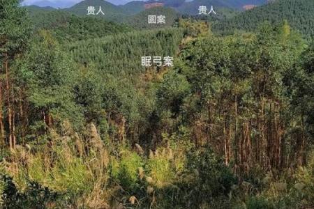 盘点注意的祖坟风水禁忌有哪些