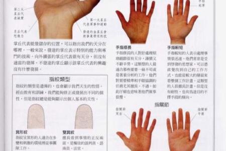《手相学习百科》：掌纹介绍