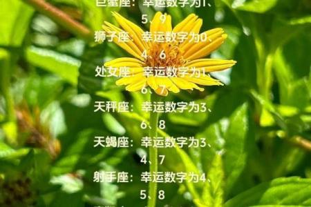 十二星座的幸运数字 十二星座的幸运色