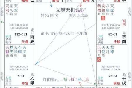 紫薇斗数怎么看未来妻子