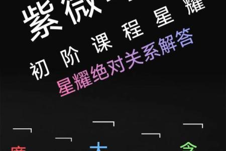 左右相会紫薇斗数