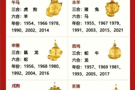 生肖配血型前途最远大TOP3