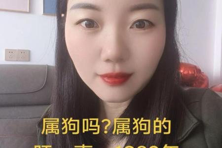 1982年属什么生肖多大年龄 1982年属什么生肖配对