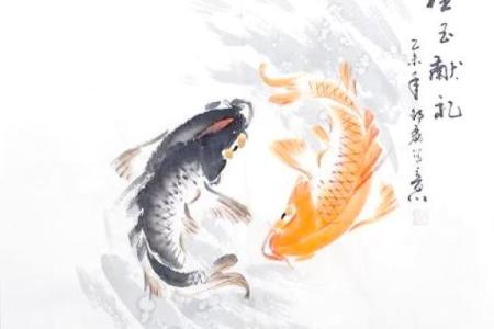 办公室风水鱼：创造积极办公环境的必备
