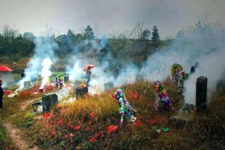 风水上祖坟上长树意味着什么