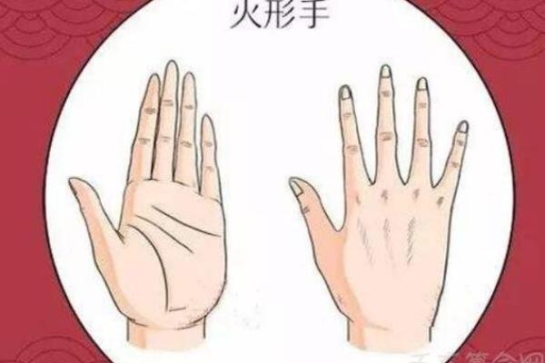 《手相学习百科》：手的轮廓特征