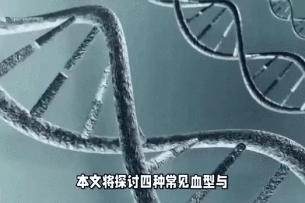 智商排行榜的4大血型有哪些呢