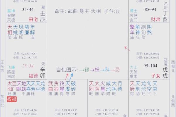 紫薇斗数不入格