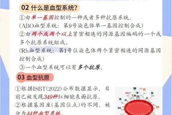 血行都有什么血型 血行的血型有哪些