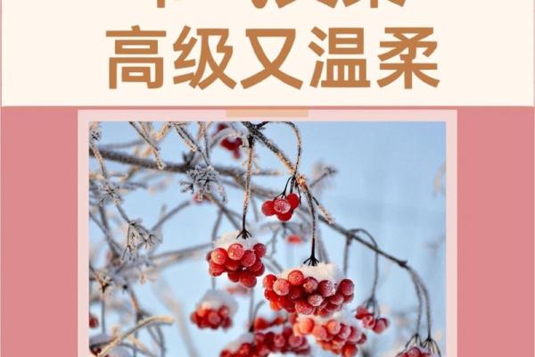 小雪节日文案 小雪节日的诗句