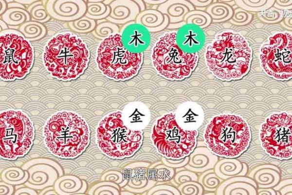 2013年属什么生肖什么星座 2013年属什么生肖五行什么命