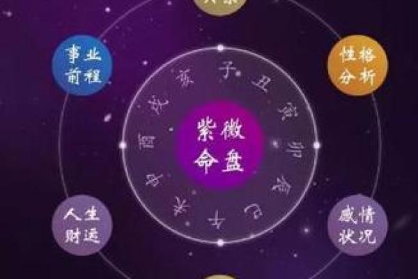 紫薇斗数舞曲