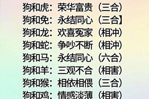 婚姻属相配对大全很准