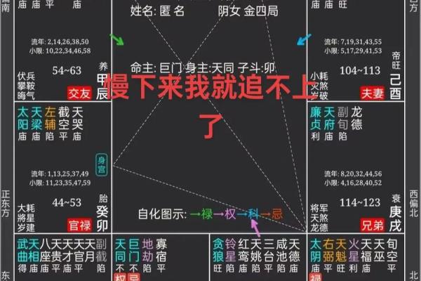 紫微斗数看财力靠自己还是靠别人技法#财富