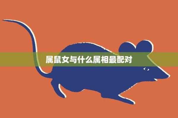 揭秘肖鼠女的属相配对