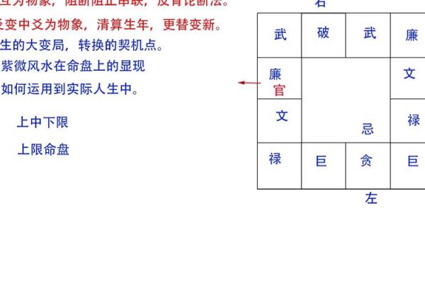 麦玲玲谈紫薇斗数