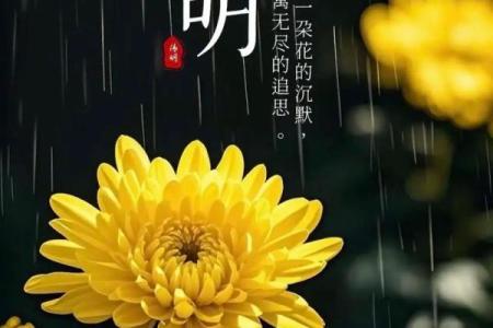 节气节日相遇，欢愉与追思相随