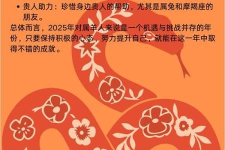 属羊的八字