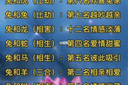 生肖配对属鼠属鸡的婚姻怎么样