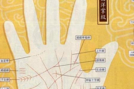 《手相学习百科》：手指