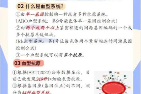 血行都有什么血型 血行的血型有哪些
