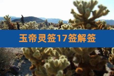 玉帝灵签第二十五签解签