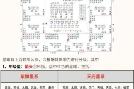 紫微斗数诸星落诸宫之，其它星疾厄宫详解