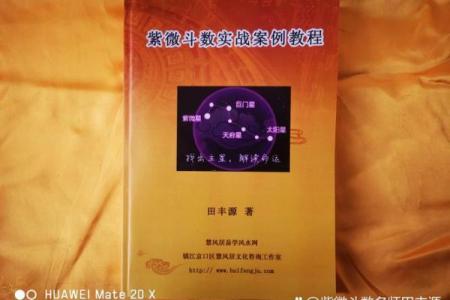 阿金紫薇斗数博客