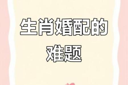 好事难成的生肖配对