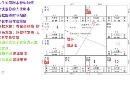 紫薇斗数软件破解