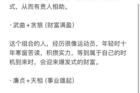 莫西老师紫薇斗数